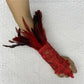 Cat Scan Fashion Lace Feather Gloves