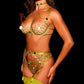 Cat Scan Ultra Erotic Gemstone Lingerie See-thru Embroidery Set